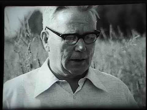 Видео: Киножурнал Советская Карелия 1981 Июль