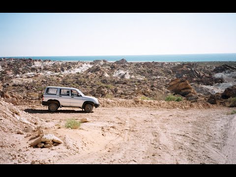 Видео: "Впечатления об Арале", фильм Наталии Шулепиной