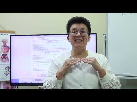 Видео: Как всегда иметь светлую голову, регулируя мозговой кровоток. [Шишова О.И.]