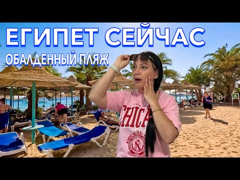 Видео: Египет 2024. КАК вам ТАКОЕ⁉️БЮДЖЕТНЫЙ на ПЕРВОЙ линии МОРЕ и ПЛЯЖ. Bella Vista 4*. Хургада сейчас