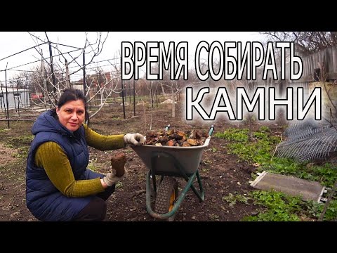 Видео: КРОЛИКИ, КОПЧЕНИЕ, ВИНОГРАДНИК