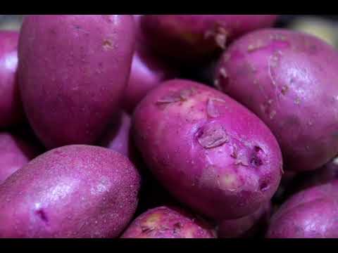 Видео: ТАБИҒИ  ,ҚОЛЖЕТІМДІ  ЕМДЕР