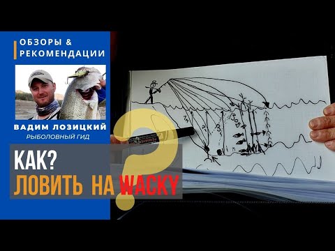 Видео: Как ловить на Wacky (ВЭКИ). Схема и техника 🇨🇾 Советы и рекомендации