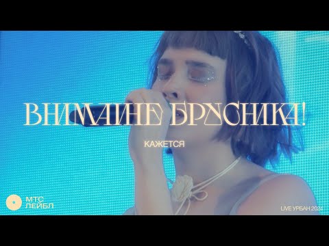 Видео: внимание брусника! – Кажется (Live)