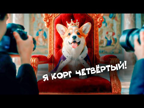 Видео: Корги Коржик - Я КОРГ ЧЕТВЁРТЫЙ! (Official music video) Первый клип мини Коржика