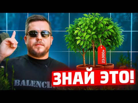 Видео: Что нужно знать при покупке растений? Контрольная закупка в Садовом Центре. Главные ошибки садоводов