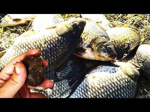 Видео: По холодной воде для рыбалки на кормаки и донки, насадка - мастырка.