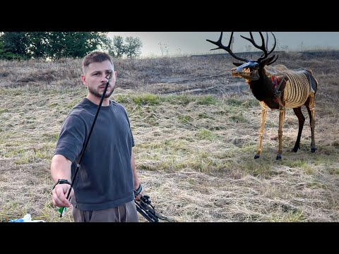 Видео: Пробитие в баллистическом геле кости (Elk) марала из блочного лука на разные дистанции