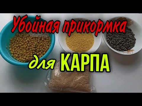Видео: ЛУЧШАЯ БЮДЖЕТНАЯ прикормка для карпа❗ДЕШЁВЫЙ РАБОЧИЙ РЕЦЕПТ! 100%РЕЗУЛЬТАТ
