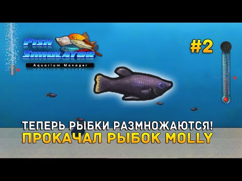 Видео: Теперь рыбки размножаются! Прокачал рыбок Molly - Fish Simulator: Aquarium Manager #2