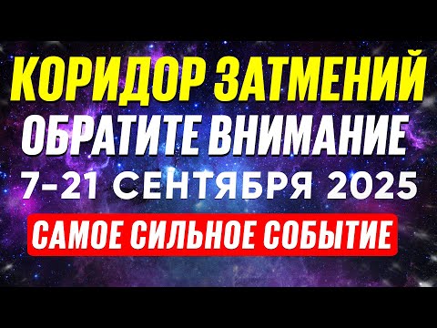 Видео: 🌙МОЩНАЯ ЭНЕРГИЯ. ЛУННОЕ И СОЛНЕЧНОЕ ЗАТМЕНИЕ. КАРДИНАЛЬНЫЕ ИЗМЕНЕНИЯ