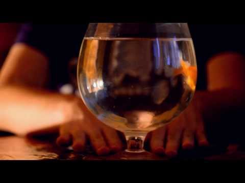 Видео: скачать бесплатно, вы соглашаетесь, alfaro - играю против тебя (cubalibra prod.)