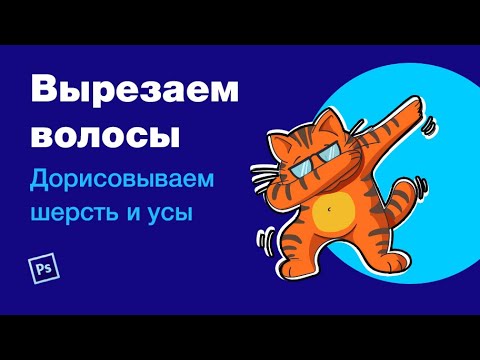 Видео: Как вырезать волосы в Фотошопе и дорисовывать шерсть и усы на сложных фонах