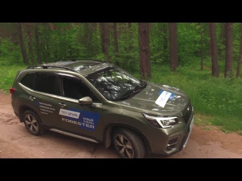Видео: 2019 SUBARU FORESTER ТЕСТ-ДРАЙВ.