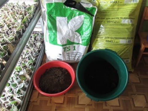 Видео: ТОРФ ДОРОГОЙ И ДЕШЕВЫЙ . КАКОЙ ВЫБРАТЬ.