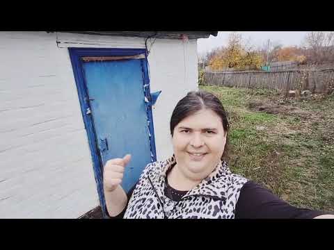 Видео: Дрова сложили в дровницу ситуация плохая но я ко всему готова 