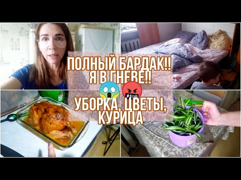 Видео: ПОЛНЫЙ БАРДАК!! Я В ГНЕВЕ!! 😱🤬 Мотивация: уборка, цветы, курица