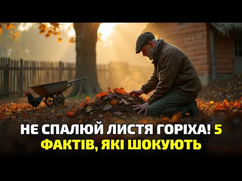 Видео: Отрута чи добриво? Шокуюча правда про листя волоського горіха, яку ніхто не розповідав!
