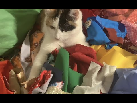 Видео: Сумасшедший лоскуток в сумасшедшем доме! Продолжение.