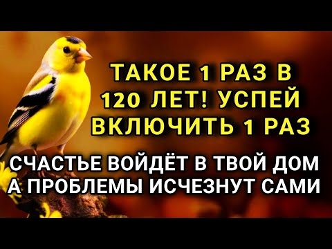 Видео: УСПЕЙ ВКЛЮЧИТЬ 1раз! СЧАСТЬЕ ВОЙДЁТ В ДОМ, А ПРОБЛЕМЫ ИСЧЕЗНУТ САМИ! Это Чудо 🔊🤲✨🔑💯