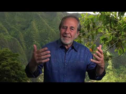 Видео: Сохраните вашу энергию на создание прекрасного. Брюс Липтон.