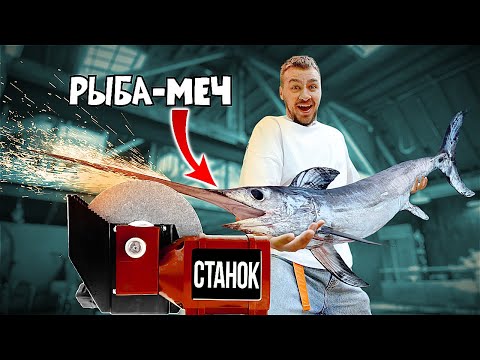 Видео: СДЕЛАЛИ МЕЧ ИЗ РЫБЫ МЕЧ!