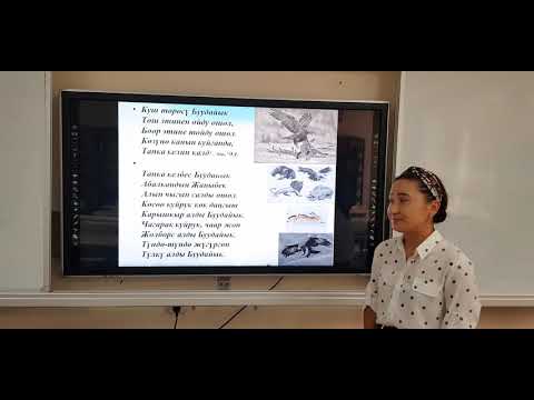 Видео: Кыргыз адабияты сабагы. "Буудайык" поэмасы