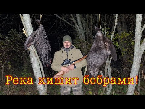Видео: Бобры, щуки, утки!  Уха на костре! День первый!