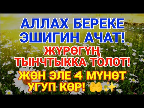 Видео: Бул Аят Береке, Тынчтык Жана Ырайым Ачкан Белги — 4 Мүнөт Угуп Көр! 🌸