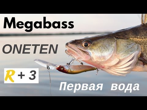 Видео: Еду на рыбалку с Megabass Oneten R+3. Первая вода, первые поклевки, первая рыба.