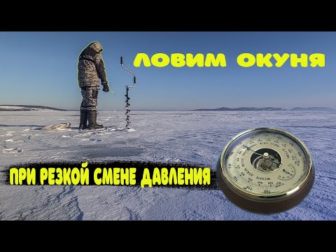 Видео: Как клюёт окунь при резкой смене атмосферного давления