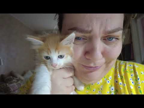 Видео: VLOG 540: ЛЮДИ, У МЕНЯ ПРАЗДНИК!