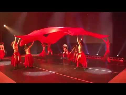 Видео: Testa Dance Show - Полотна