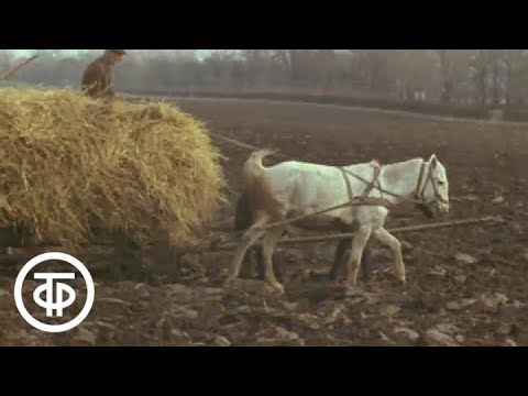 Видео: Октябрь. Из цикла "Двенадцать месяцев" (1978)