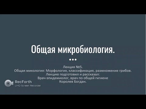 Видео: Общая микробиология. Лекция 5. Общая микология.