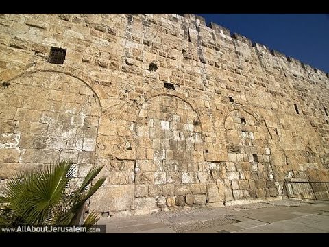 Видео: Сретение в Иерусалиме