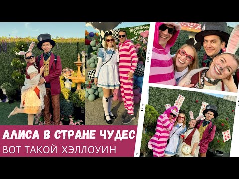 Видео: Алиса в стране чудес / Вот такой Хэллоуин / Влог США