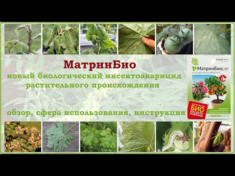 Видео: МатринБио - новое уникальное биологическое средство от вредителей
