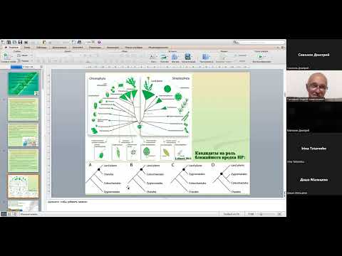 Видео: Гончаров А.А.: Конъюгаты (Zygnematophyceae, Streptophyta)