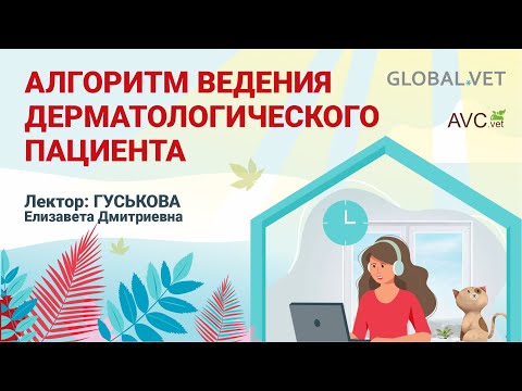 Видео: Алгоритм ведения дерматологического пациента (ветеринарный семинар)