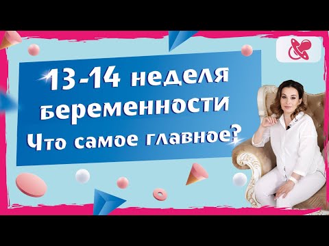 Видео: 13-14 неделя беременности.  Что происходит с мамой и малышом?