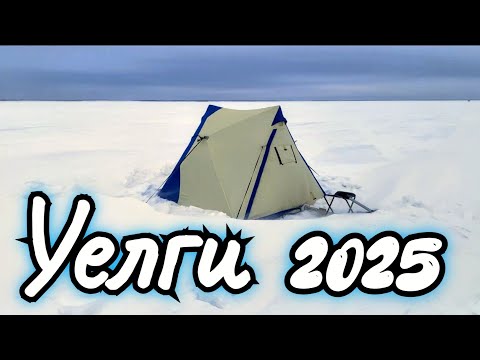 Видео: ⛄УЕЛГИ⛄ПОГОДА ЖЕСТЬ,НО РЫБА ЕСТЬ.Зимний Карась.