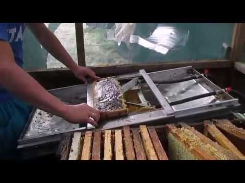 Видео: Откачка меда. Станок для распечатки сотовых рамок. Extracting Honey.