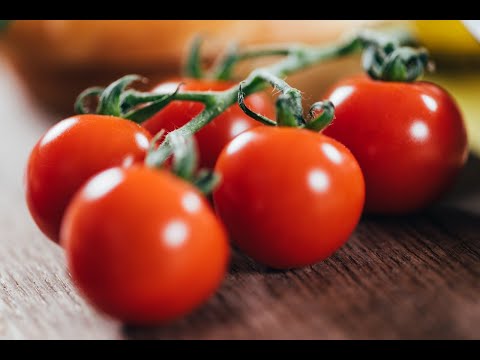Видео: ЛУЧШИЕ КРУПНОПЛОДНЫЕ ТОМАТЫ И ЧЕРРИ. ГИБРИДЫ ОТ СЕМКО. "Черри от Юрия".