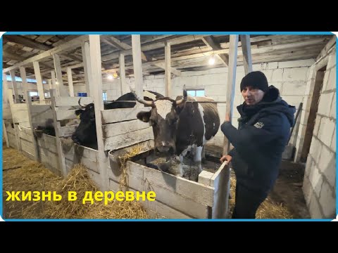 Видео: ВСЯ ДЕРЕВНЯ ГОТОВИТСЯ К ЗИМЕ И МЫ НЕ ИСКЛЮЧЕНИЕ, ЖИЗНЬ В ДЕРЕВНЕ