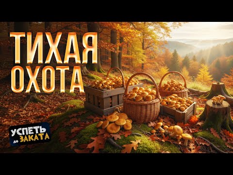 Видео: Тихая охота. Успеть до заката 06.11.2025