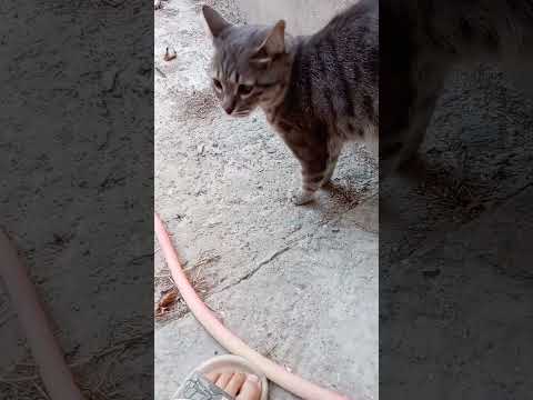 Видео: 9 сентября 2025 г.