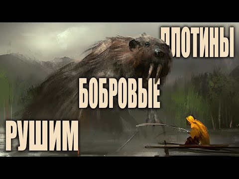 Видео: Рушим бобровые плотины в деревне