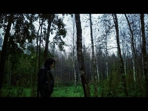 Видео: это видео не для тебя