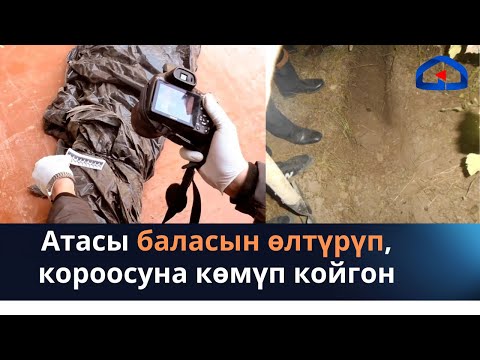 Видео: Атасы баласын өлтүрүп, короосуна көмүп койгон | ТЕЛЕКҮЗӨТ